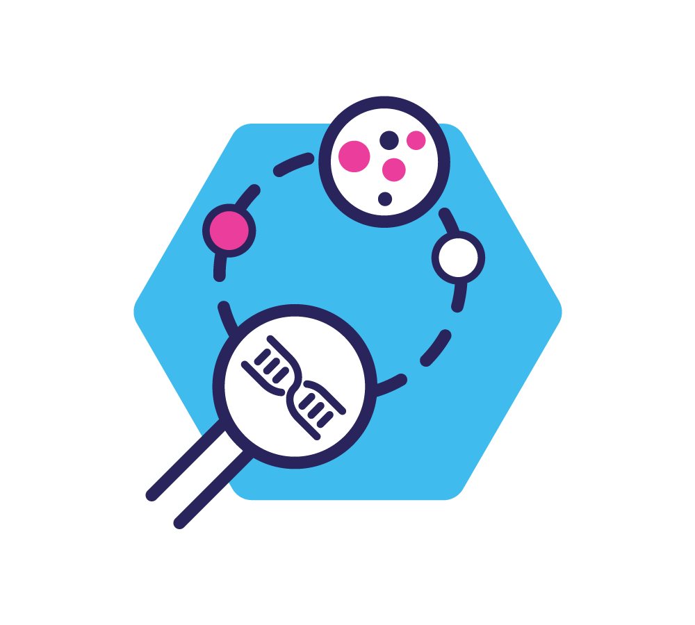 Clarify the mechanism of action